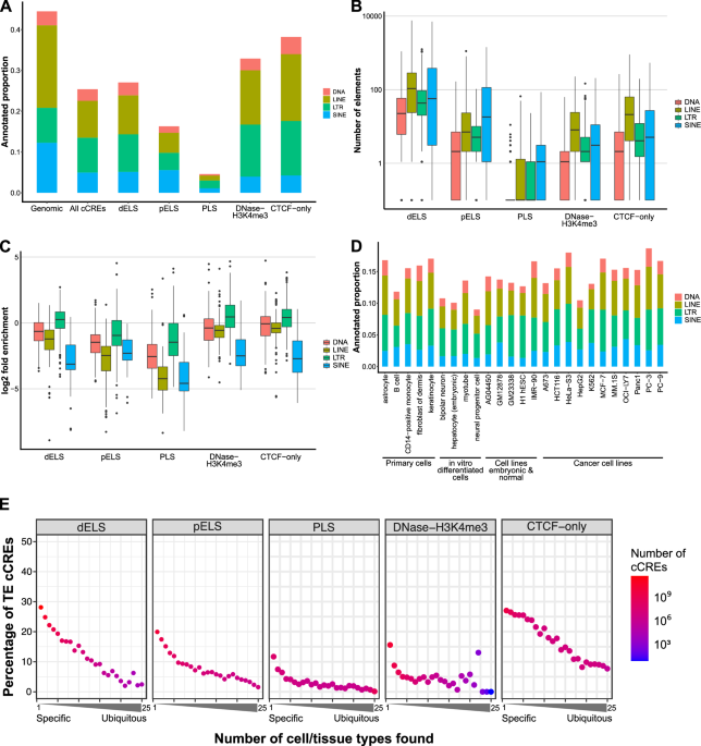 Regulatory transposable elements in the encyclopedia of DNA elements ...