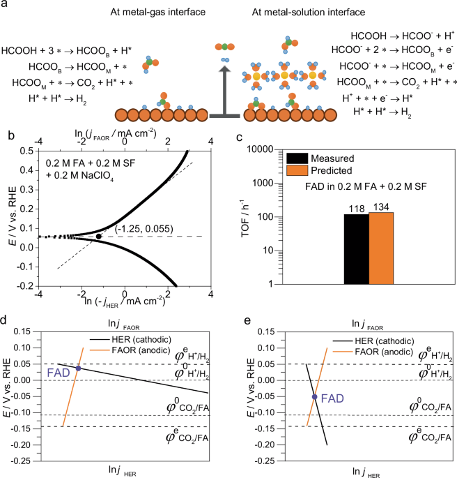 Unveiling the Mechanism of Thermocatalytic Formic Acid Dehydrogenation at Metal-Solution Interface using Interfacial Electrochemistry