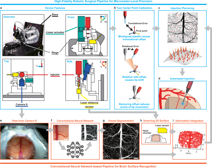arvis-a-bleed-free-multi-site-automated-injection-robot-for-accurate-fast-and-dense-delivery-of-virus-to-mouse-and-marmoset-cerebral-cortex-nature-communications