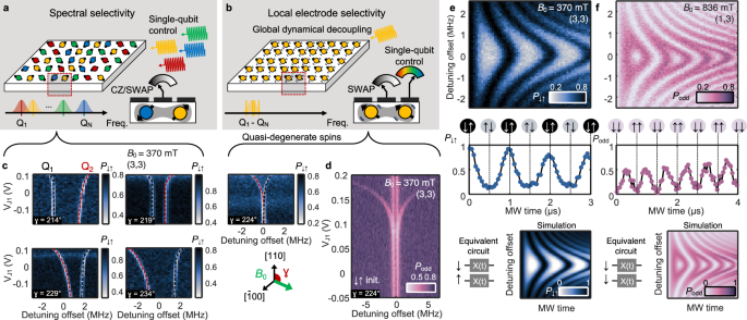Entangling gates on degenerate spin qubits dressed by a global field ...