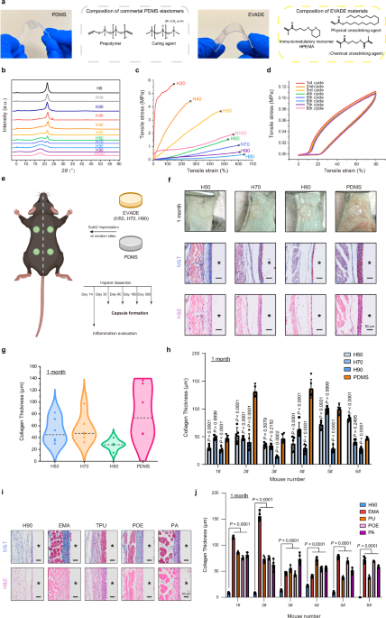 Immunocompatible elastomer with increased resistance to the foreign body response