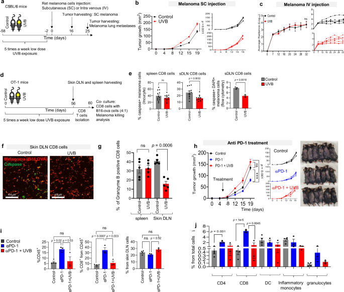 Crosslinking of Ly6a metabolically reprograms CD8 T cells for cancer immunotherapy | Nature Communications Crosslinking of Ly6a metabolically reprograms CD8 T cells for cancer immunotherapy | Nature Communications