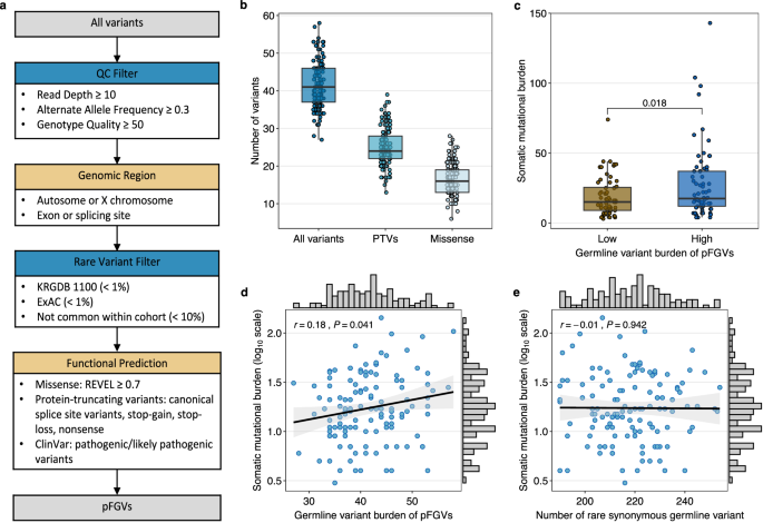 Germline functional variants contribute to somatic mutation and ...
