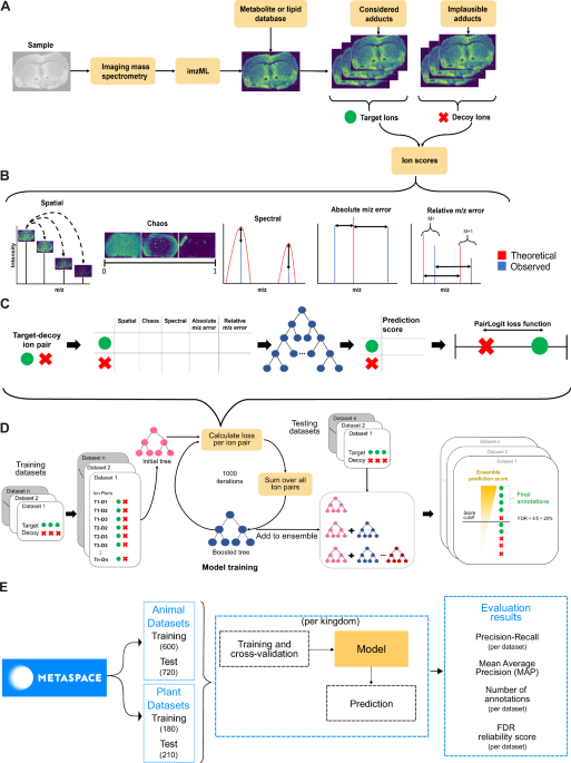 METASPACE-ML: Context-specific metabolite annotation for imaging mass ...