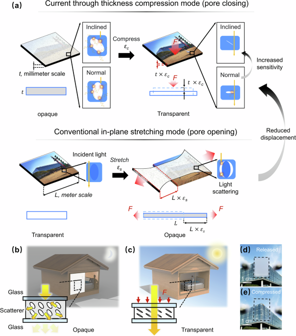 Compression-sensitive smart windows: inclined pores for dynamic ...