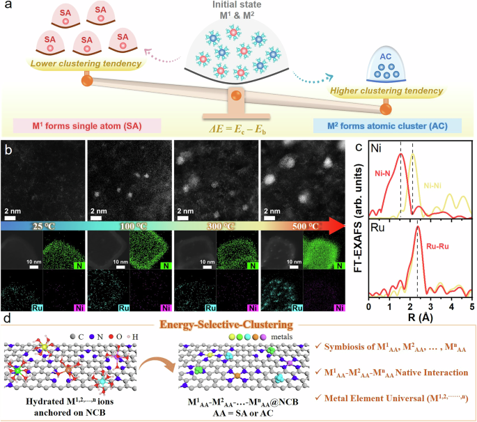 Innovative Approach to Multimetallic Atomically Dispersed Materials for Sustainable Energy Applications