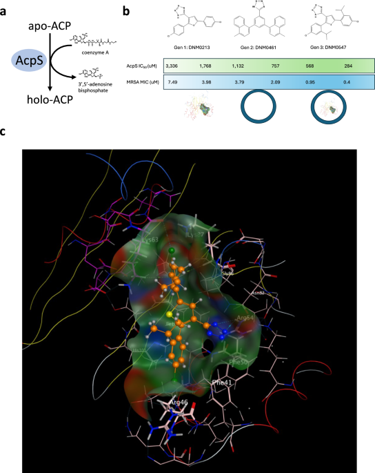 Computer-aided drug design to generate a unique antibiotic family | Nature  Communications