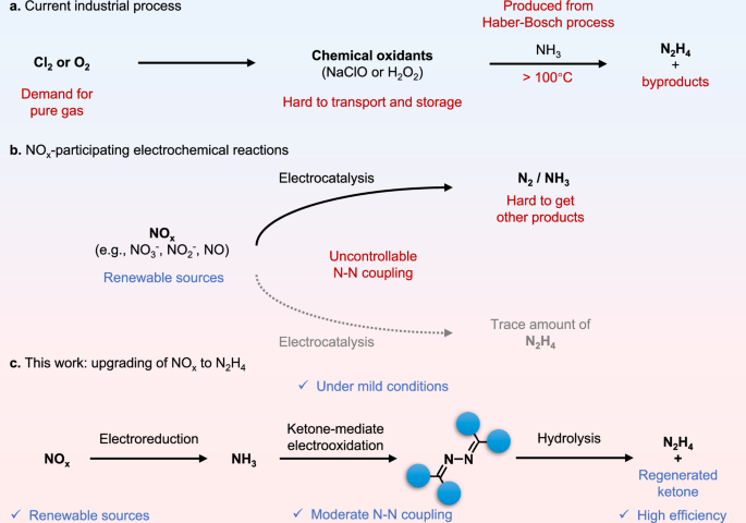 Innovative Electrochemical Process for Sustainable N2H4 Synthesis