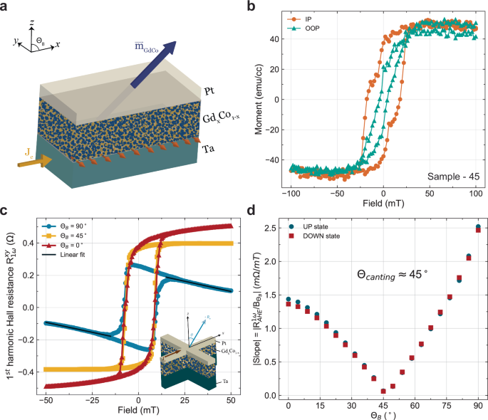Tunable multistate field-free switching and ratchet effect by spin-orbit torque in canted ferrimagnetic alloy
