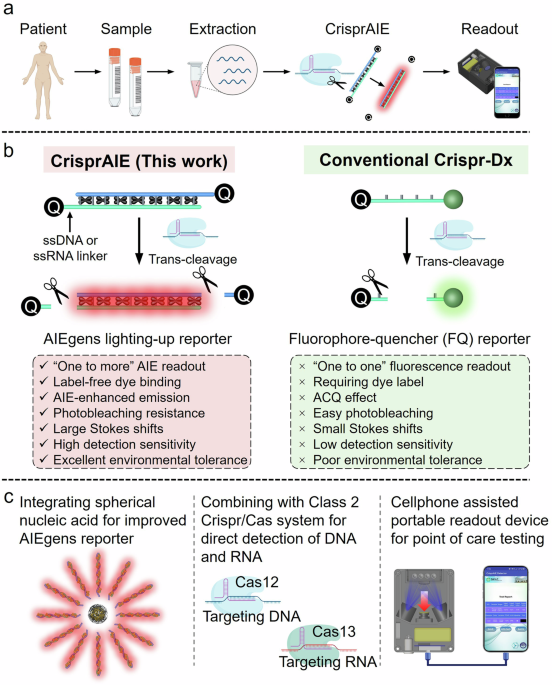 Crispr/cas-mediated “one to more” lighting-up nucleic acid detection using aggregation-induced emission luminogens