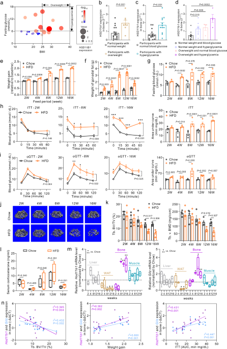 Targeting osteoblastic 11β-HSD1 to combat high-fat diet-induced bone loss and obesity
