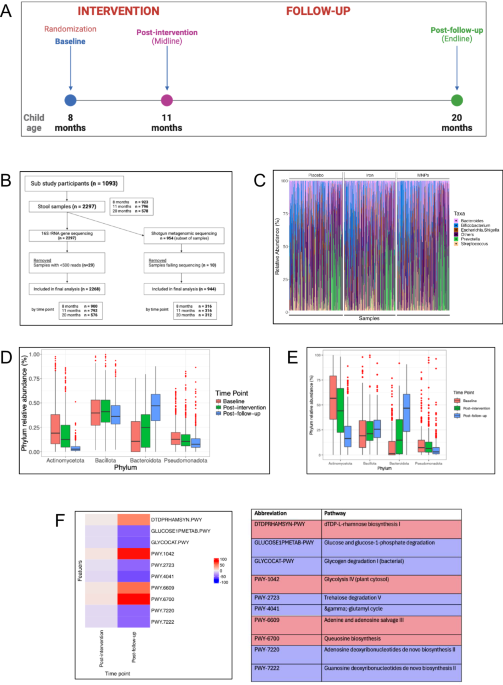Effects of iron supplements and iron-containing micronutrient powders on the gut microbiome in bangladeshi infants: a randomized controlled trial
