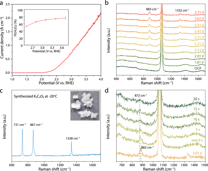 Green Electrochemical Production of Hydrogen Peroxide: Challenges and Opportunities