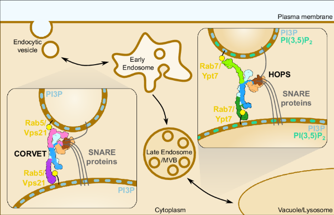 feature-image