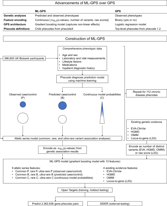 Expanding drug targets for 112 chronic diseases using a machine learning-assisted genetic priority score