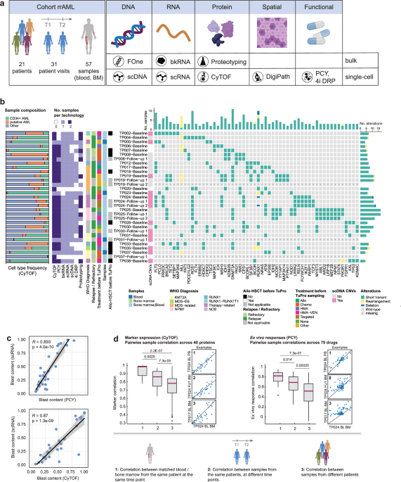 Single-cell landscape of innate and acquired drug resistance in acute myeloid leukemia