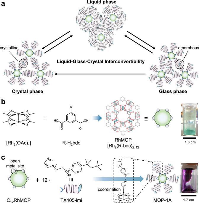 Transformable Object Phase-transformable metal-organic polyhedra for membrane processing and ...