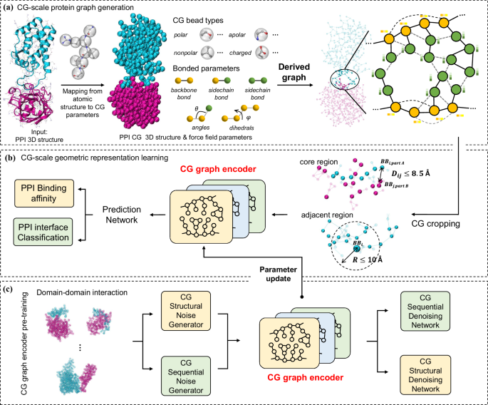 Integration of molecular coarse-grained model into geometric 
