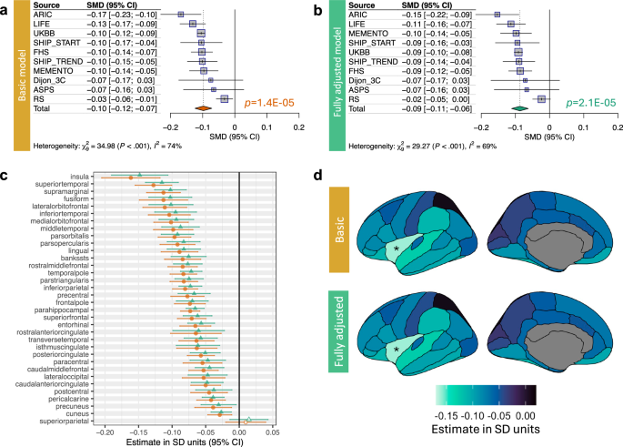 Genetic risk factors underlying white matter hyperintensities and ...