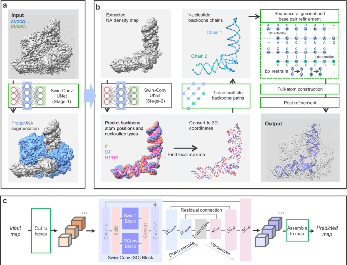 Automated detection and de novo structure modeling of nucleic acids