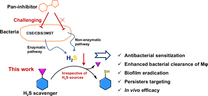 H2S scavenger as a broad-spectrum strategy to deplete bacteria-derived H2S  for antibacterial sensitization
