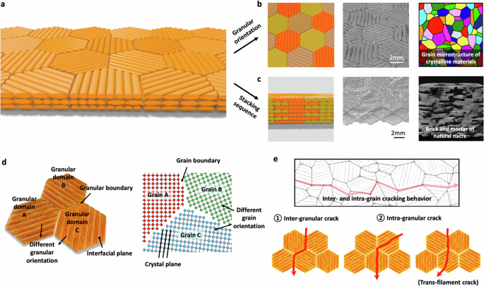 On the crack resistance and damage tolerance of 3D-printed nature 