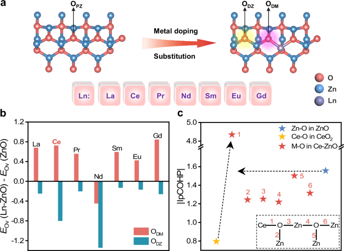 Electronic asymmetry of lattice oxygen sites in ZnO promotes the ...