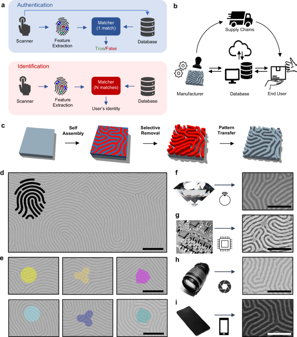 Artificial fingerprints engraved through block-copolymers as nanoscale ...