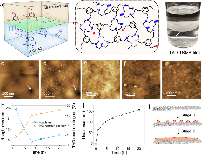High performance, pHresistant membranes for efficient lithium recovery