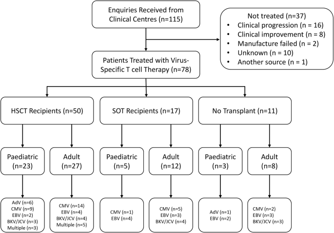Compassionate access to virus-specific T cells for adoptive ...