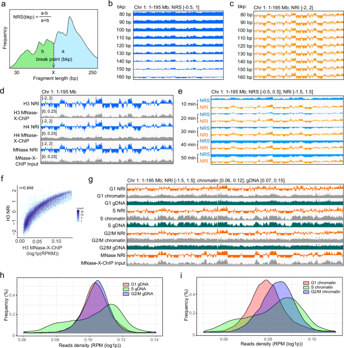 Nucleosome wrapping states encode principles of 3D genome organization ...