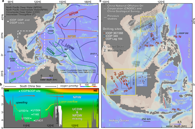South china sea records late miocene reorganization of western pacific deep circulation