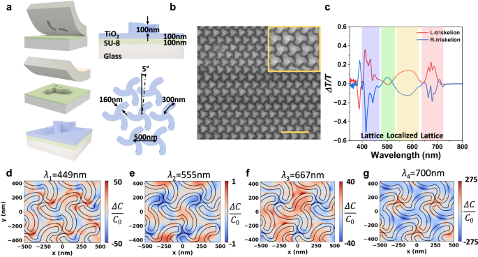 A single nanophotonic platform for producing circularly polarized white ...
