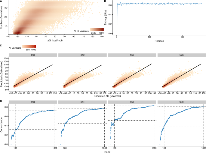 Protein engineering using variational free energy approximation