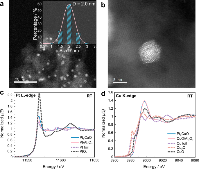 Tuning the selectivity of NH3 oxidation via cooperative electronic ...