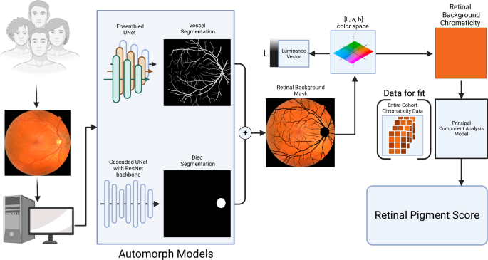 Machine learning derived retinal pigment score from ophthalmic 