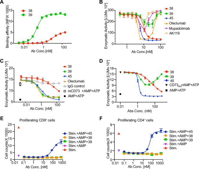 An antibody cocktail targeting two different cd73 epitopes enhances enzyme inhibition and tumor control