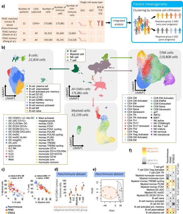 Distinct immune cell infiltration patterns in pancreatic ductal ...
