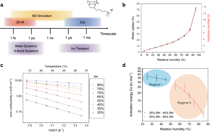 Water-mediated ion transport in an anion exchange membrane | Nature ...