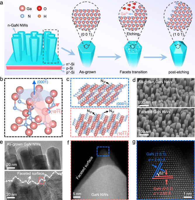 Innovative GaN Nanowire Architecture for Efficient and Stable Photoelectrochemical Hydrogen Generation