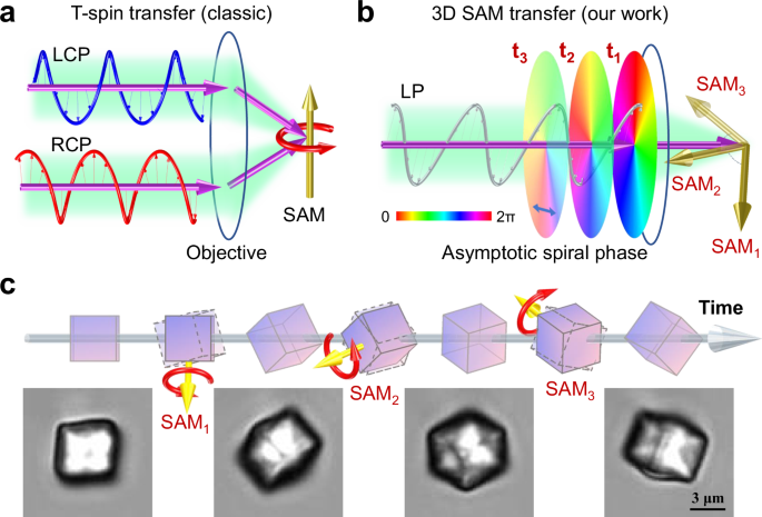 Time-varying 3D optical torque via a single beam | Nature Communications