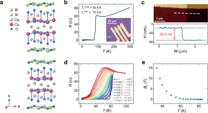 High-temperature field-free superconducting diode effect in high-Tc ...