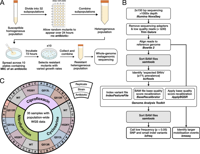 High throughput Method Characterizes Hundreds Of Previously Unknown high-throughput-method-characterizes-hundreds-of-previously-unknown