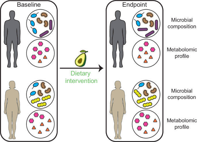 Predicting metabolite response to dietary intervention using deep learning