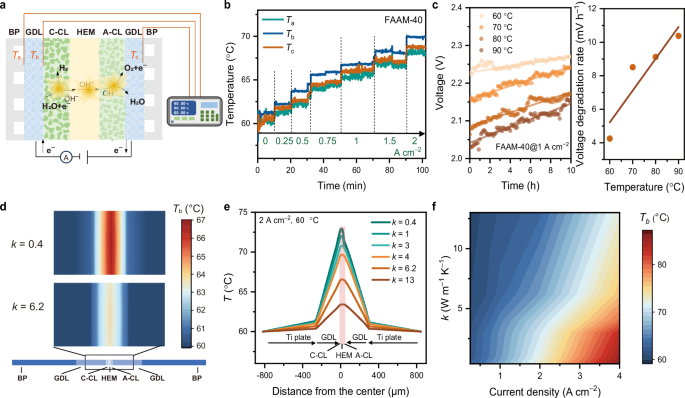 Advancing Green Hydrogen Production: Enhancing In-Situ Stability of Hydroxide Exchange Membranes