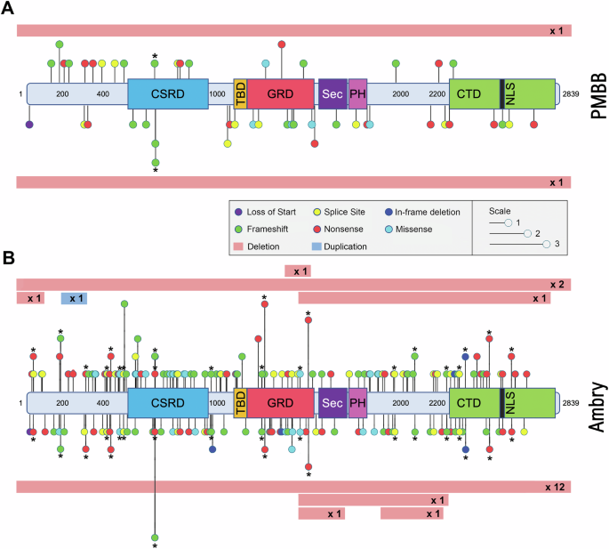 A genotype-first approach identifies high incidence of NF1 pathogenic ...