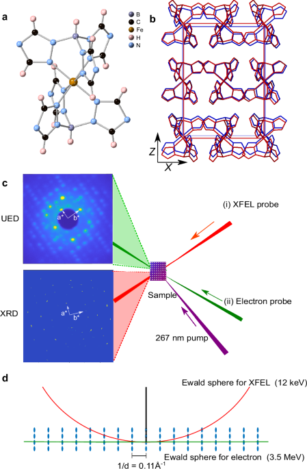 Capturing ultrafast molecular motions and lattice dynamics in spin ...