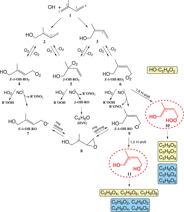 Highly oxidized products from the atmospheric reaction of hydroxyl ...