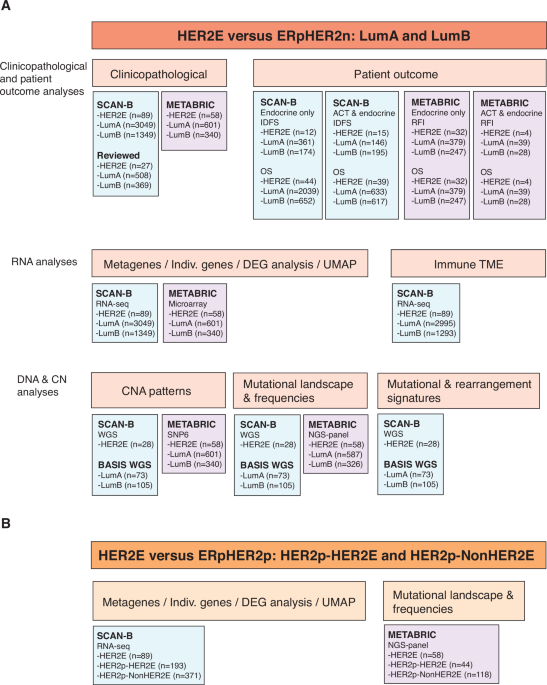 Genomic characterization of the HER2-enriched intrinsic molecular ...
