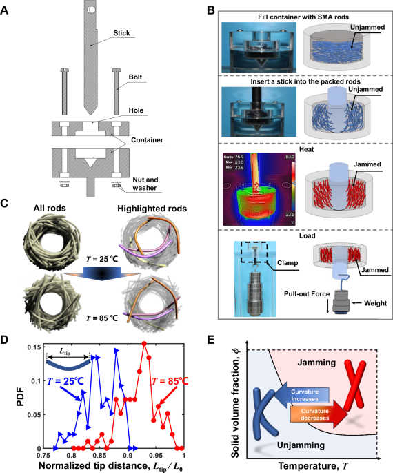 Thermo-responsive jamming by particle shape change | Nature Communications